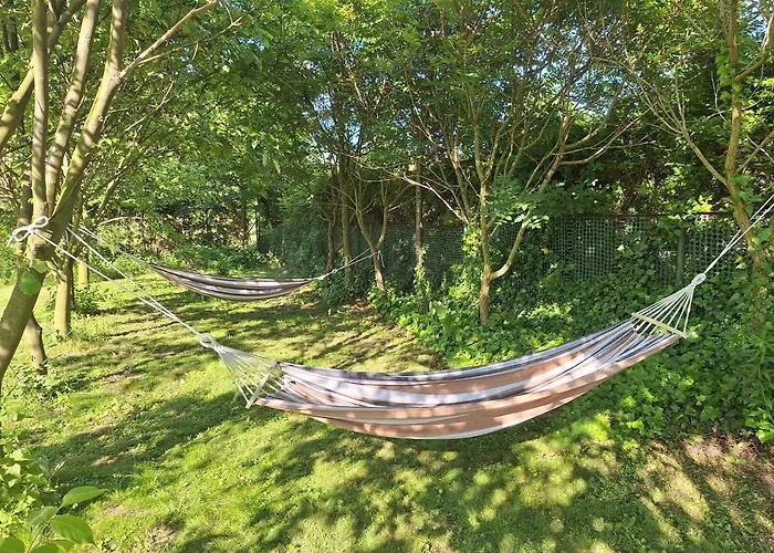 アパート Miodowy *